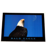 BALD EAGLE POSTER FROM 1995   - £15.62 GBP