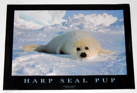 HARP SEAL PUP POSTER FROM 1995   - £16.01 GBP