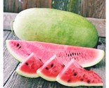 10 Charleston Grey Watermelon Seeds Non Gmo Heirloom Heat Tolerant Fast ... - £7.22 GBP