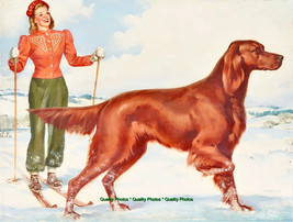 Woman Skier and Red Irish Setter Dog 8.5x11&quot; Photo Print Armitage Pinup Art - $8.20