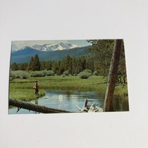 Fly Fishing on Miner&#39;s Creek near Jackson Montana 1960&#39;s postcard made in Butte - £3.73 GBP