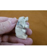 (Y-DOG-HO-ST-26) white red HOUND DOG hunting stone carving SOAPSTONE I l... - $8.59