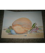 Vintage 1992 Tulip Shell Art Print by Linda Lord - 14 X 10 - £19.77 GBP