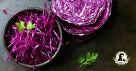 Purple cabbage seeds Portuguese kale Vegetable +50 seeds Brassica alba - €1,07 EUR