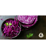 Purple cabbage seeds Portuguese kale Vegetable +50 seeds Brassica alba - £0.96 GBP