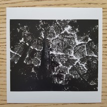 Stuart Franklin - Signed Photo - Magnum Square Print - £285.21 GBP