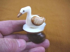 (TNE-BIR-DU-304) Duck swimming duckling TAGUA NUT palm figurine carving ... - $17.53