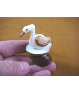 (TNE-BIR-DU-304) Duck swimming duckling TAGUA NUT palm figurine carving ... - £13.80 GBP