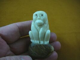 (tne-ape-go-42b) white Gorilla monkey ape TAGUA NUT palm nuts figurine - $21.83