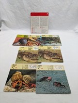 Lot Of (7) 1975 Rencontre Arthropods Education Cards - $24.74