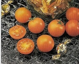 20 Pcs Sunsugar Golden Cherry Tomato Seeds #MNHG - £12.97 GBP