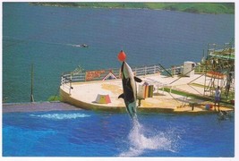 Postcard Ocean Theatre Marine World Ocean Park Hong Kong China - £3.05 GBP