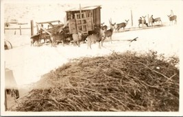 RPPC Deer Feeding Snow Scene Real Photo Postcard V10 - £12.74 GBP