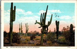 Vintage Postcard Unused - Cactus And Sage Brush, A Bit Of The Desert (B8) - £5.09 GBP