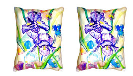 Pair of Betsy Drake Two Irises No Cord Pillows 16 Inch X 20 Inch - £62.27 GBP