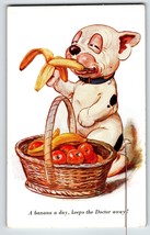 Bonzo Puppy Dog A Banana A Day Postcard Fantasy Anthropomorphic A.R.&amp; Co. 1731 - £18.52 GBP