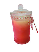 Cinnamon Stick Scented Jar Candle 9.1 Oz Red White Color W/Lid New Witho... - $19.79