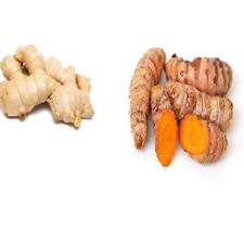 Ginger &amp; turmeric Root Fresh Whole Raw Organic, Harvest Eat or Grow- 1lb total - £23.63 GBP