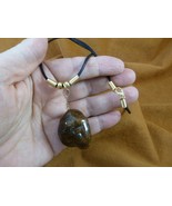 (PP31-13) Real Jumbo MOOSE POOP doo doo turd nugget NECKLACE weird fun a... - $18.69