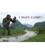 Neca King Kong 7&quot; Scale Action Figure New In Box  - $369.57 MXN