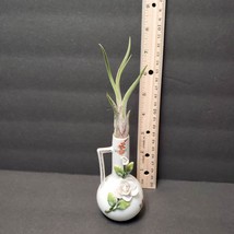 Airplant in Vintage Bud Vase, 4" Art Pottery Porcelain Applied Flowers Germany image 7