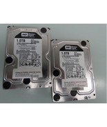Strategic WD1003FBYZ WESTERN DIGITAL 1TB 6GB/S 7.2K RPM - $3,642.99 MXN