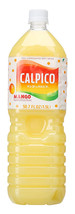 GIANT Calpico Mango Flavor Non-Carbonated Soft Drink Soda 50.7oz  US SELLER - £14.16 GBP