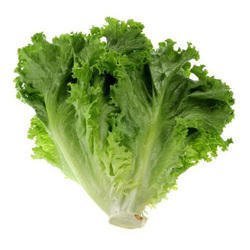 10 Seeds Hongkong Ice Berg Lettuce Item image 2