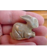 (y-BUN-4) gray BUNNY RABBIT SOAPSTONE carving FIGURINE love rabbits HOP ... - £6.71 GBP