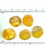 5 pcs natural butter, milk and honey amber buttons shaped by nature and me. - $32.33