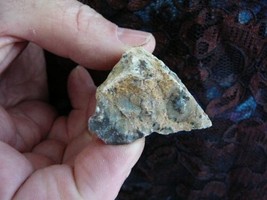 (DF833-5) 1 Oz Fossil Real Dinosaur Poop Coprolite Dino Utah Jurassic Dung Scat - £9.77 GBP