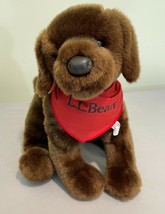 LL BEAN ADORABLE PLUSH &#39;DOUGLAS THE CUDDLE TOY&#39; BROWN PUPPY W/RED SCARF ... - $18.99