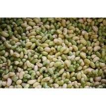 Texas Cream 8 Cow Pea Seeds Gardening Easy Grow Usa Shipping - $8.48