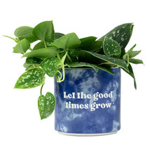 Tie Dye Planter (Medium) - Good Times Grow - £29.17 GBP