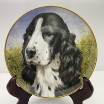 Cockerspaniel by John Francis  First Edition Bird Dogs By Kaiser Porcelain - £7.76 GBP