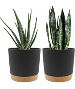 Plant Pots Set Of 2 Pack, 8 Inch, Saucer Modern Decorative For Outdoor G... - $33.92