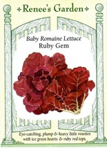 GUNEL Lettuce Baby Romaine Ruby Gem Vegetable Seeds Renee&#39;s Garden  - $8.00