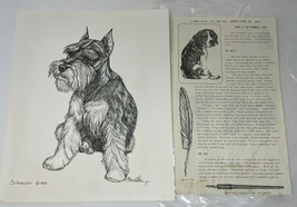 G Marlo Allen Schnauzer Art Print 1984 Black Quill Pen Ink Picture Drawing - £32.16 GBP