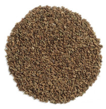 100 Gram Celery seeds - $47.87 CAD