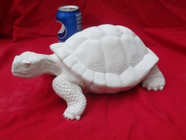 Bisque Turtle Ready to Paint 13&quot; - $25.00