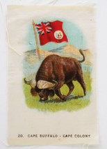 1910&#39;s Tobacco Cape Buffalo &amp; Flag of Cape Colony # 20 in Series - $9.99