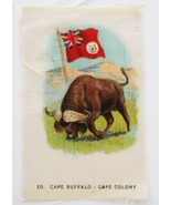 1910&#39;s Tobacco Cape Buffalo &amp; Flag of Cape Colony # 20 in Series - $187.01 MXN