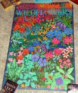 1995 Super Tube coloring poster Wild Flowers 7045 completed - $12.70 CAD