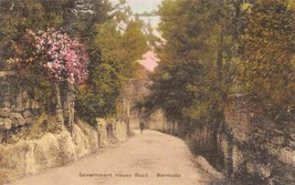 Government House Road Bermuda hand colored postcard - £5.06 GBP