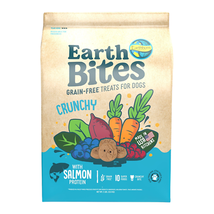 Earthborn Holistic EarthBites Crunchy Dog Treats Salmon &amp; Pumpkin 1ea/2 lb - £13.36 GBP