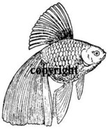 VEILTAIL FISH NEW RELEASE NEW mounted rubber stamp - €6,08 EUR