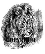LION FACE new mounted rubber stamp NEW RELEASE! - €7,84 EUR