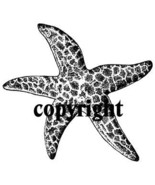 STAR FISH NEW RELEASE NEW mounted rubber stamp - €5,21 EUR