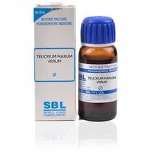 SBL Homeopathy  Teucrium Marum Verum Mother Tincture Q 30ml - £9.90 GBP