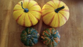 Mini Baby Red Spot Pumpkins Seeds Indians Amir, Tiger Stripe Jamaican 10-100 - £3.00 GBP+